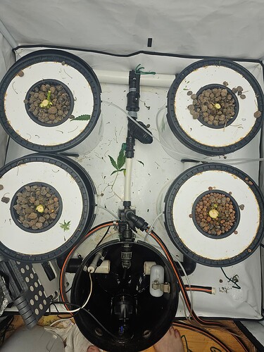 Growreport Bild 25