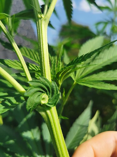 Growreport Bild 10