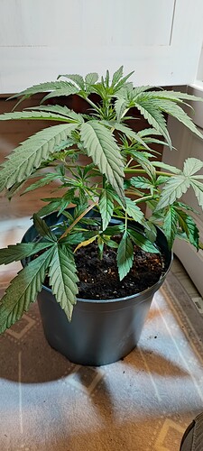 Growreport Bild 15