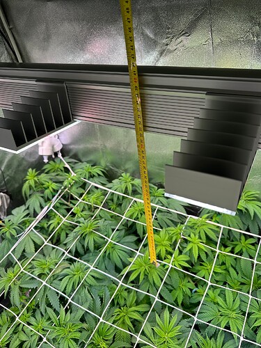 Growreport Bild 33