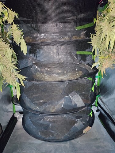 Growreport Bild 46