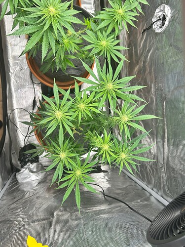 Growreport Bild 11