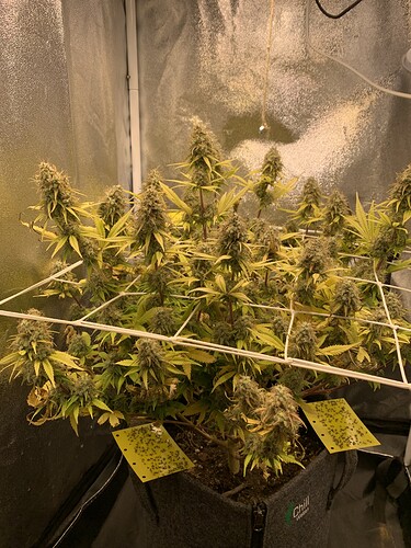 Growreport Bild 1