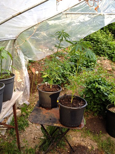 Growreport Bild 22