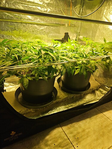Growreport Bild 16