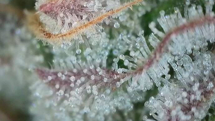 Growreport Bild 16