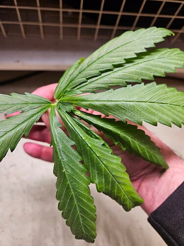 Growreport Bild 9