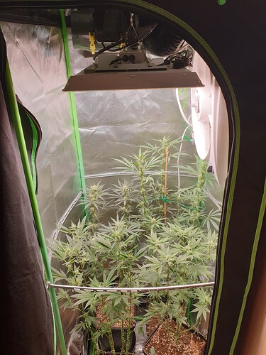 Growreport Bild 9