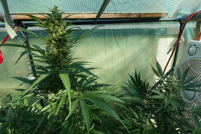 Growreport Bild 2