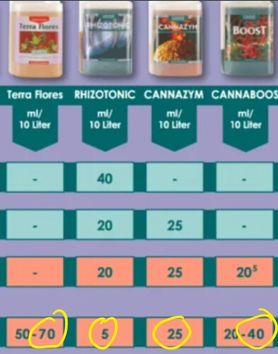 Growreport Bild 100
