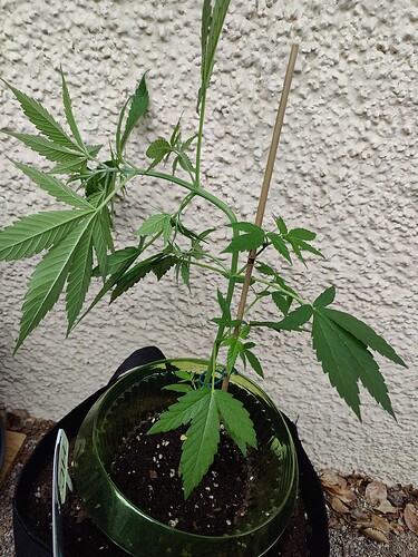 Growreport Bild 7