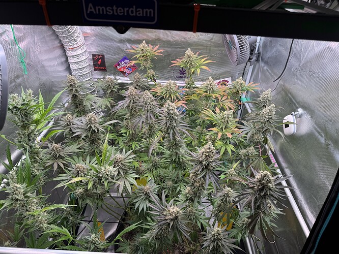 Growreport Bild 2