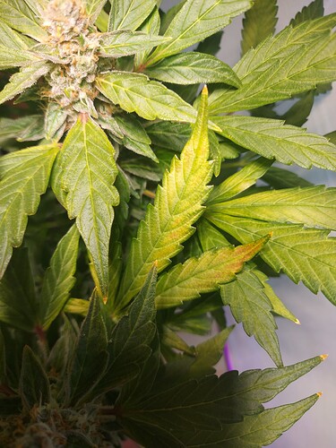 Growreport Bild 7
