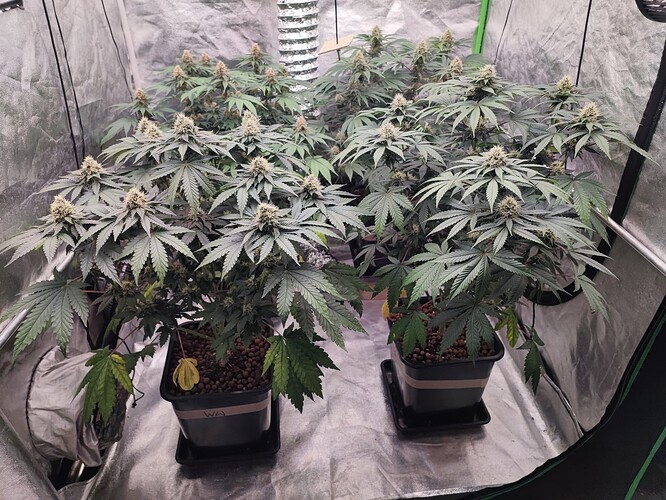 Growreport Bild 8