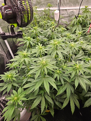 Growreport Bild 12