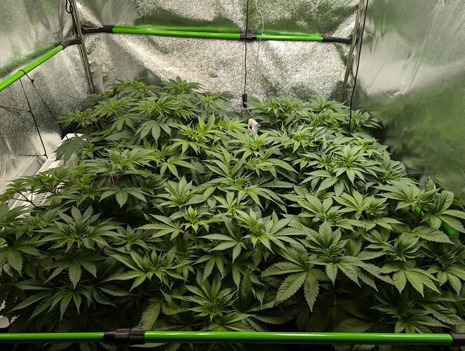 Growreport Bild 2
