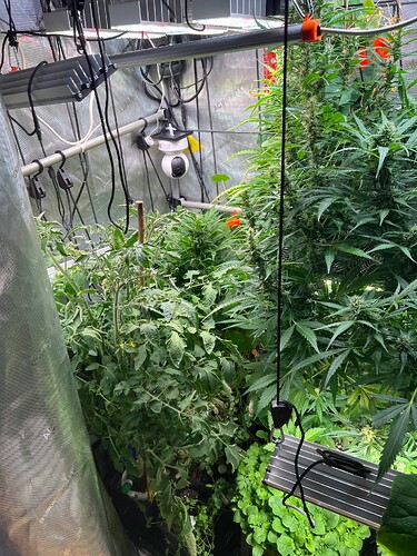 Growreport Bild 21