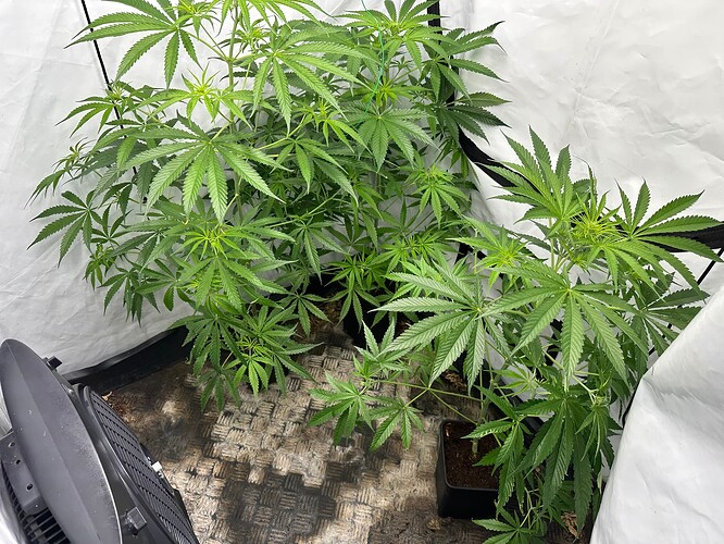 Growreport Bild 11
