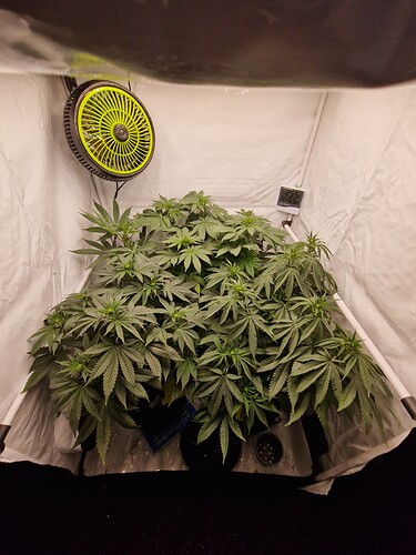 Growreport Bild 20