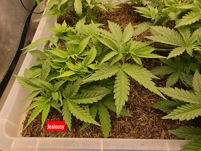 20260307_213438_edited_