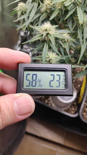 Growreport Bild 8