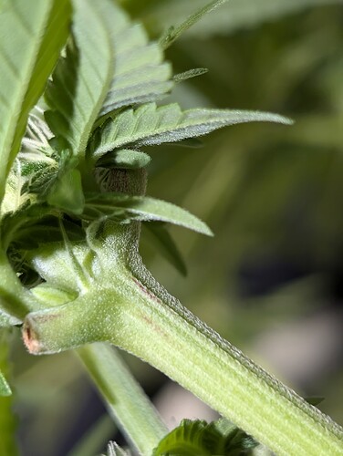 Growreport Bild 2