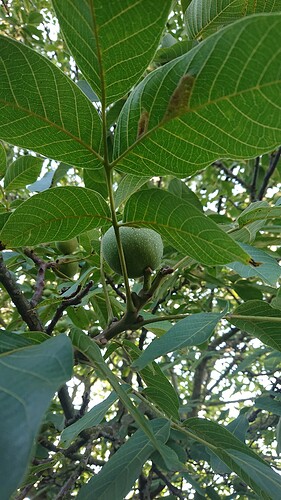 Growreport Bild 15