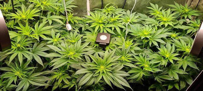 Growreport Bild 24
