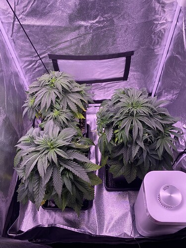 Growreport Bild 1