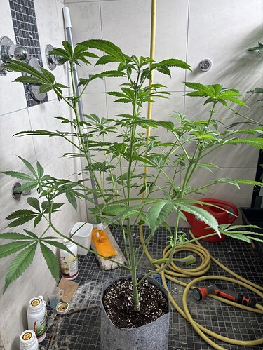 Growreport Bild 4