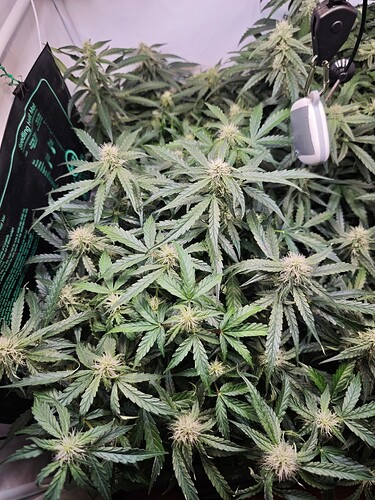 MVIMG_20251102_201256