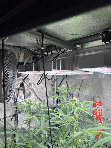 Growreport Bild 9