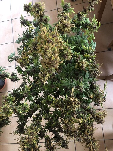 Growreport Bild 4