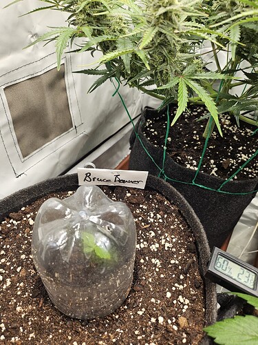 WhatsApp Bild 2024-04-04 um 15.45.39_a11a9e37