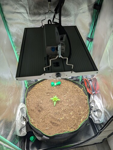 Growreport Bild 1