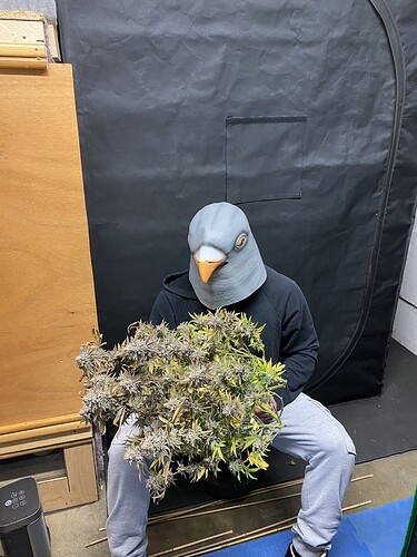 Growreport Bild 18