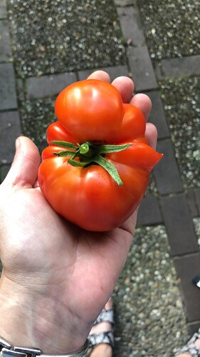 Growreport Bild 78