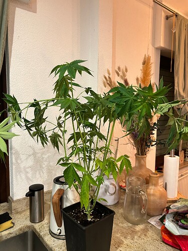 Growreport Bild 24