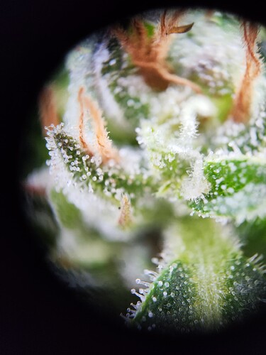 Growreport Bild 11