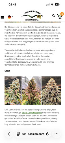 Growreport Bild 92