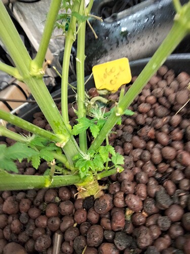 Growreport Bild 2