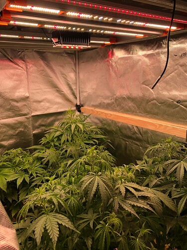 Growreport Bild 27