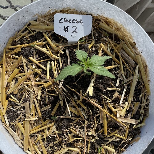 Growreport Bild 9