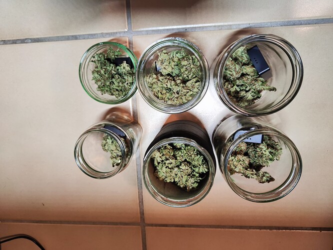 Growreport Bild 11