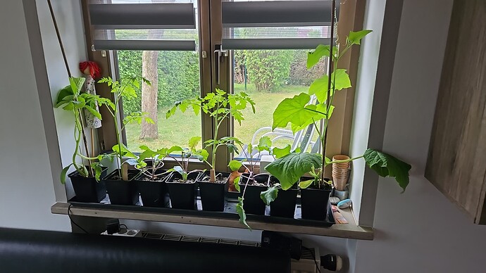 Growreport Bild 16