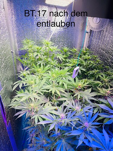 Growreport Bild 21