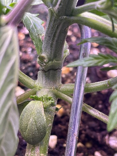Growreport Bild 10
