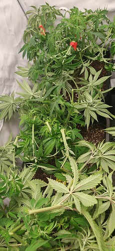 Growreport Bild 13