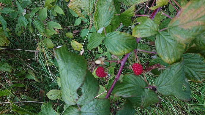 Growreport Bild 17