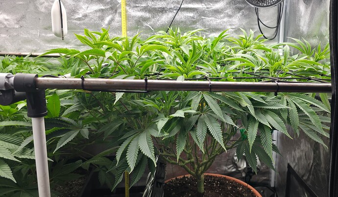 Growreport Bild 8